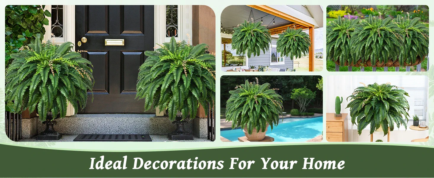 image_1774434496516.jpg Product description